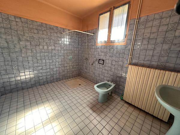 Maison de maitre à PEPIEUX proche CARCASSONNE + appartement avec extérieur