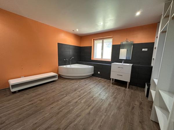 Maison de maitre à PEPIEUX proche CARCASSONNE + appartement avec extérieur