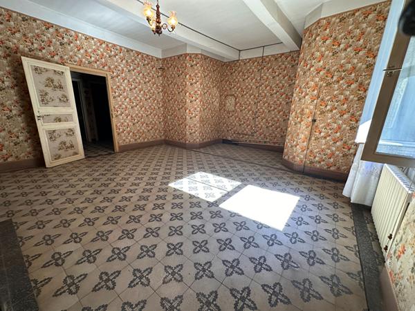 Maison de maitre à PEPIEUX proche CARCASSONNE + appartement avec extérieur