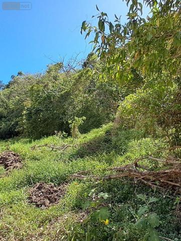 Terrain à Batir à vendre à Le Gosier en Guadeloupe (97190), ref : 15056/145