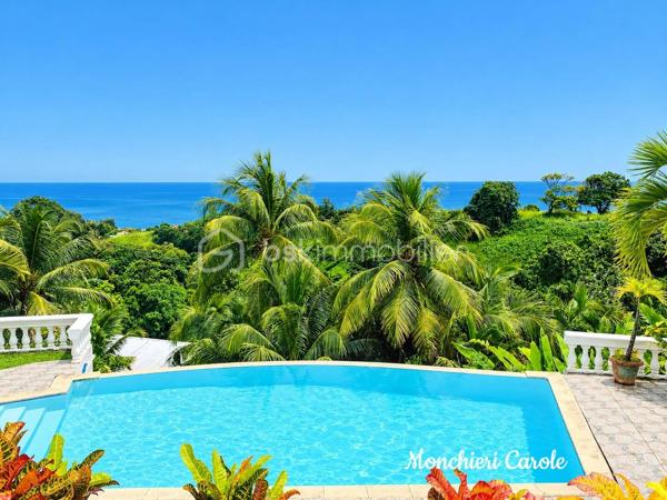 Nichée dans un jardin arboré et ventilé, cette propriété d’exception offre une vue mer imprenable et des volumes rares : une grande villa familiale, un T3 indépendant en rez-de-jardin, une piscine à débordement et un carbet. Idéale pour une grande famille ou un projet d’investissement locatif.

Au rez-de-chaussée une cuisine ouverte sur une salle à manger, un salon lumineux, deux chambres, dont une suite parentale, un bureau, une salle d’eau, un WC indépendant, une grande terrasse avec vue mer.

À l’étage une mezzanine d’environ 29 m² aménagée en seconde suite parentale, des combles aménageables, idéales pour le rangement.

Au rez-de-jardin, un T3 d'environ 70 m² composée d'un salon, d'une cuisine, de deux chambres, d'une salle d’eau, un WC une terrasse privative.
Il peut accueillir de la famille ou des amis, ou être loué pour générer un complément de revenus.

A l'extérieur, un magnifique jardin arboré et ventilé, une piscine à débordement avec vue mer, un carbet équipé d’une douche et d’un WC, parfait pour déjeuner en plein air ou recevoir entre amis, un garage pouvant accueillir deux véhicules.

Une propriété rare, qui réunit espace, confort, intimité et vue mer.

N’hésitez plus et contactez-moi pour organiser une visite. Celle-ci sera accordée sur présentation d’un justificatif de financement.