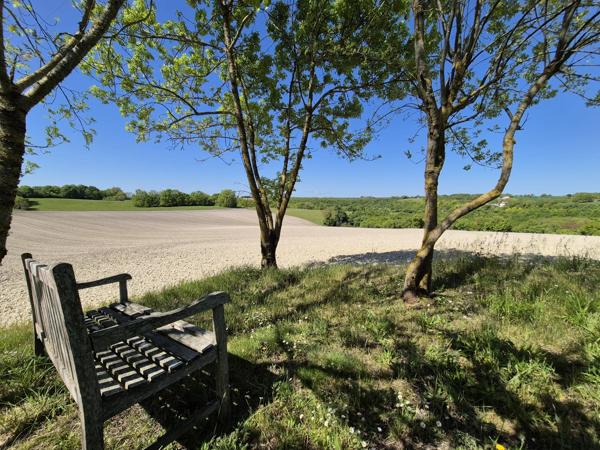 Deux maisons en pierre de caractère avec piscine, dépendances et 1,2 hectare de terrain près de Montaigu-de-Quercy