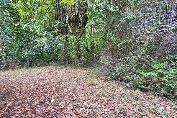 Longère en pierre à réhabiliter sur un parc arboré
