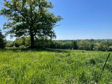 Terres à vendre à Villaines-la-Juhel en Mayenne (53700), ref : 12703/3280