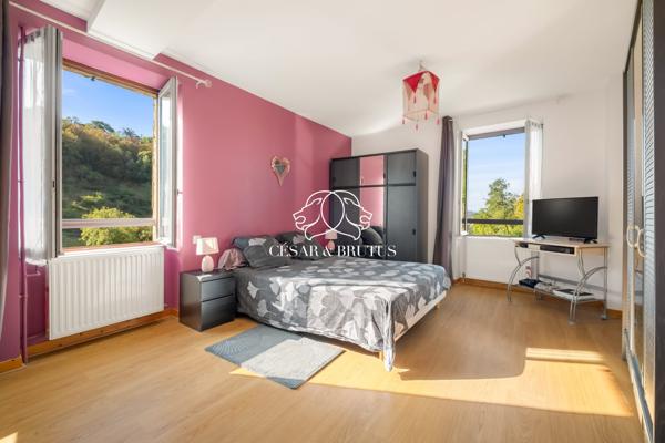 SECTEUR HOPITAL – MAISON 162m² RENOVEE – PARCELLE 3000m² + MAISON A RENOVER 80m²