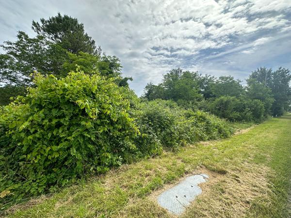 Terrain 2257m2 Thésée