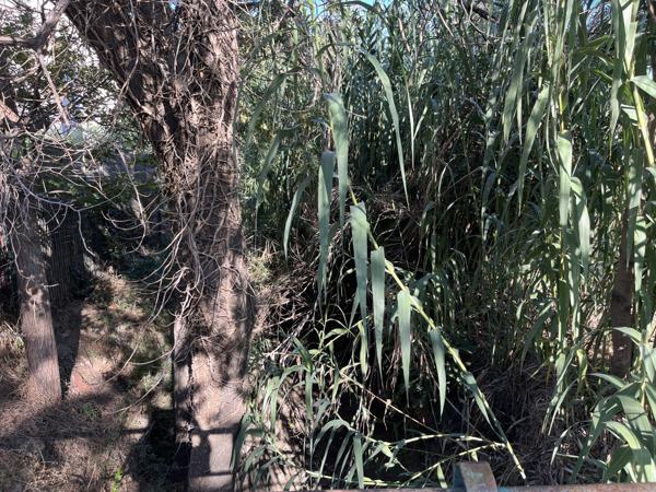 TERRAIN A BATIR 923m2 VIABILISE Espira-de-l'Agly (66600)