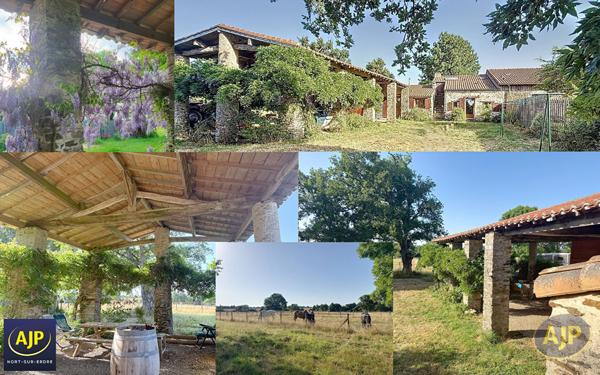 Vente maison Ligne : 447 500 € - AJP Immobilier Nort-sur-Erdre