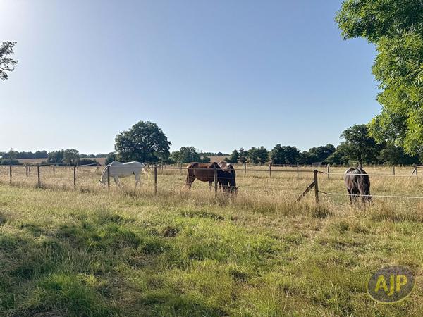 Vente maison Ligne : 447 500 € - AJP Immobilier Nort-sur-Erdre