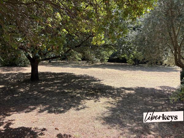 Belle maison familiale de 175 m² sur terrain arboré de 2 963 m² exposé plein sud