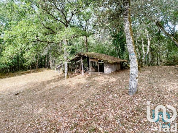 Maison à vendre 6 pièces 190 m² Les Eyzies