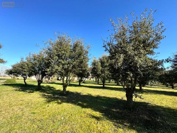 Maison à vendre à Noyant-de-Touraine dans l'Indre-et-Loire (37800), ref : 37072-643