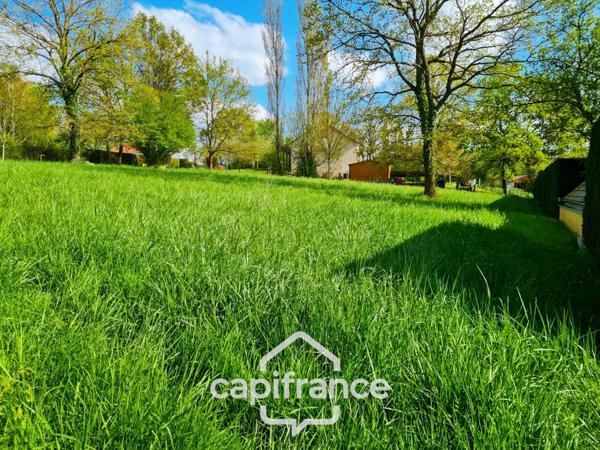 Terrain à vendre à ALLERIOT (71)