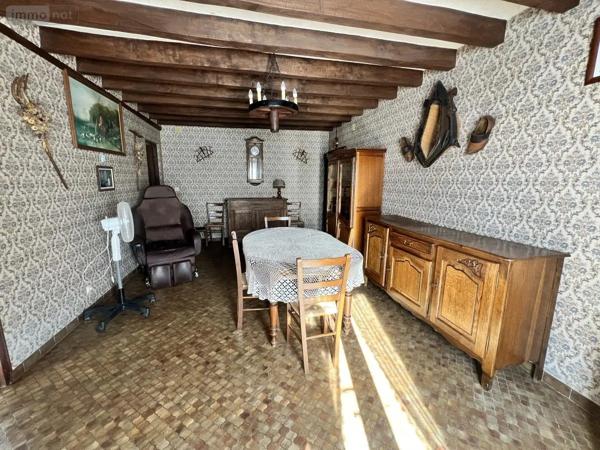 Achat - Maison Châtillon-sur-Cher 41130 3 pièces 78 m 2 1015 m 2