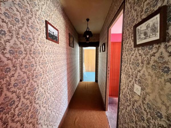 Achat - Maison Châtillon-sur-Cher 41130 3 pièces 78 m 2 1015 m 2