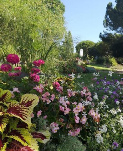 Appartement de 54,68 m²