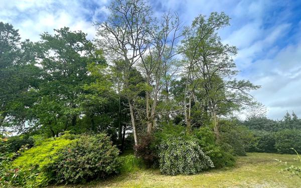 Maison à vendre    7 pièces • 183,56 m2 Tercis-les-Bains