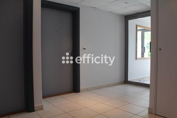 Appartement 2 pièces - 48 m² Exclusivité efficity