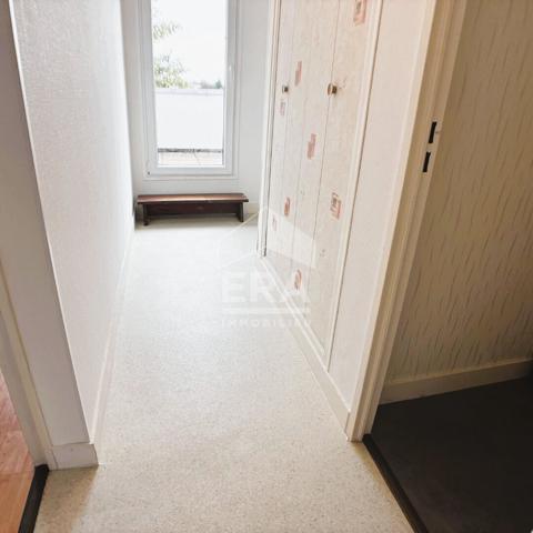 Appart. à louer T3 - Blois - Grand séjour lumineux (33m²), 1 Chb, terrasse et parking