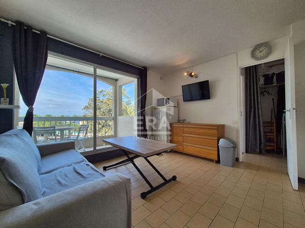 Studio cabine à vendre à Saint-Cyprien vue Canigou, piscine et accès plage
