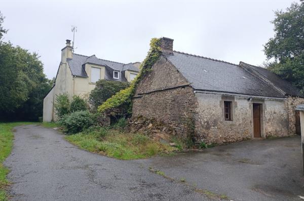 29520 Laz maison sans voisin, autonome en eau, bois de 1 ha , vie de plain pied, dépendances