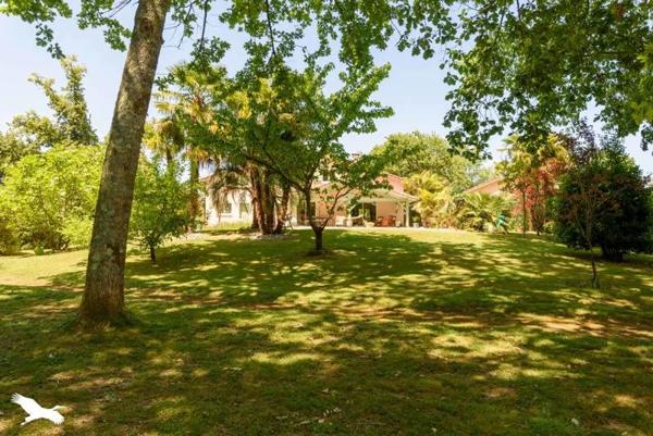 Maison à vendre 399 999 € Hagetmau 6 p 184 m² DPE C