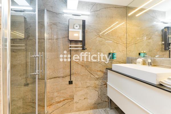 Immeuble 20 pièces - 480 m² Exclusivité efficity