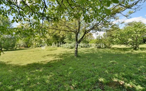 Vente                                                      Terrain
                        
                                         1635 m2                     à Garrigues