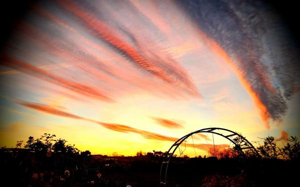 Maison à vendre    4 pièces •  Marseillan