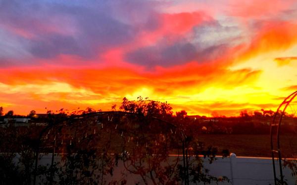 Maison à vendre    4 pièces •  Marseillan