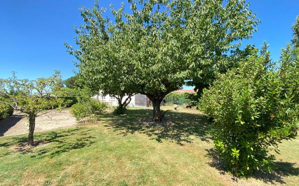 Maison à vendre    4 pièces •  Lacourt-Saint-Pierre