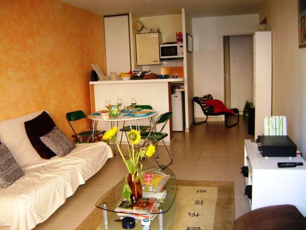 Appartement 37 m2 entre palais de justice et gare. Chambéry (73000)