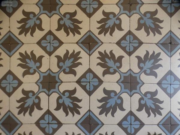 Propriete à vendre à Ferrières-en-Gâtinais dans le Loiret (45210), ref : 065/1202