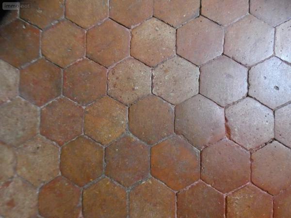 Propriete à vendre à Ferrières-en-Gâtinais dans le Loiret (45210), ref : 065/1202