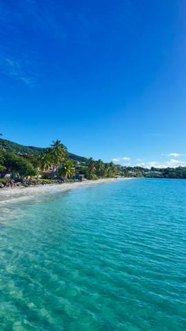 Propriété de charme avec vue mer et Rocher du Diamant, deux villas et piscine – SOUS OFFRE d'ACHAT en 1 mois À vendre, Martinique (972)