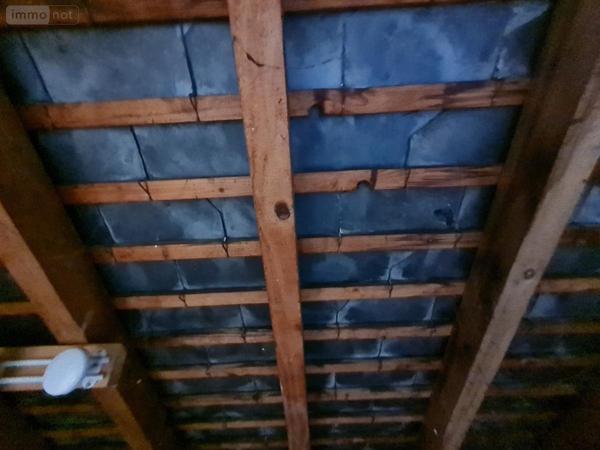 Maison à vendre à Montoire-sur-le-Loir dans le Loir-et-Cher (41800), ref : 41059-980