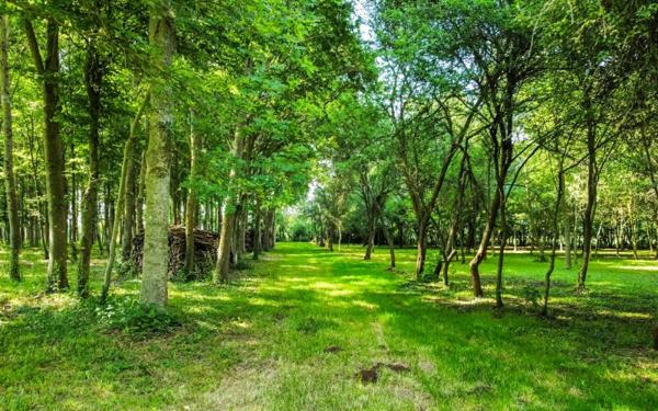 Maison à Ballon-Saint Mars, 72290 - 7 pièces 160m²