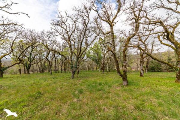 Maison à vendre |  Arcambal |  6 pièces | 107 m²