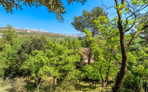 Domaine à vendre à Rousset à 15 minutes d'Aix-en-Provence - 1 ha - 3 logements - plus de 315 m² habitables - calme absolu - amoureux de la nature