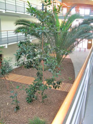 Appartement Type 2 proche commerces