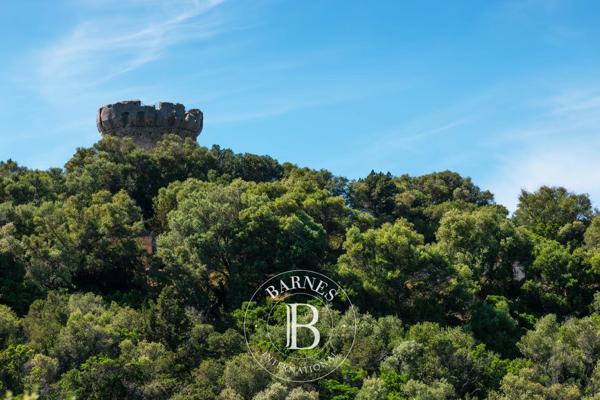 Coti-Chiavari, Villa 6 Chambres -  254 m² à vendre