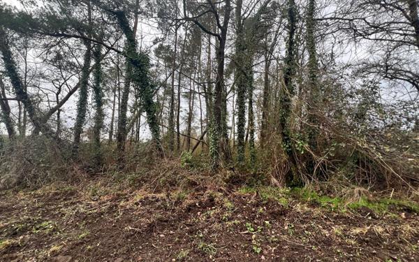 Terrain à vendre    Romorantin-Lanthenay