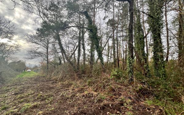 Terrain à vendre    Romorantin-Lanthenay