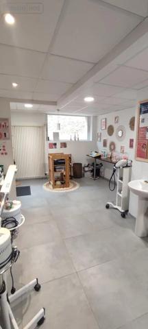 Achat - Immeuble Le Mans 72000 354 m 2