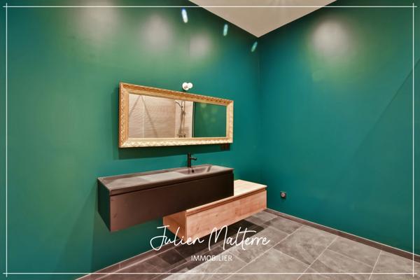 SAINT ETIENNE (42) - Exceptionnel LOFT en duplex de 265 m² avec 7 chambres, bureau, terrasse avec jardin et 2 garages