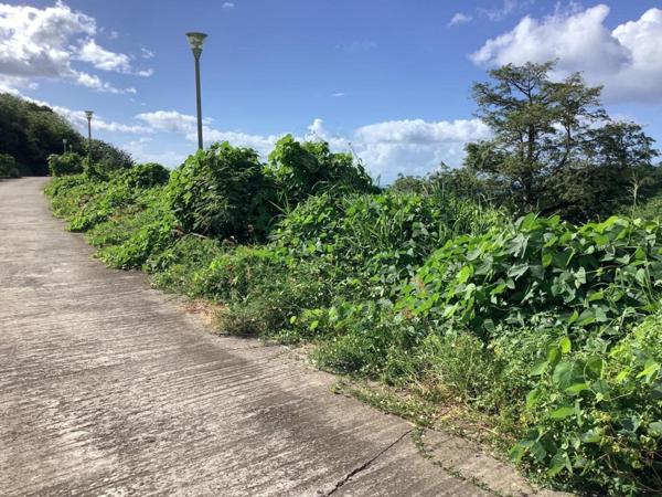 Ensemble de parcelles viabilisées avec vue mer