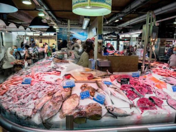 « Vivez Sète autrement : terrasse sur Marina, confort moderne et garage fermé inclus. Coup de cœur assuré ! »