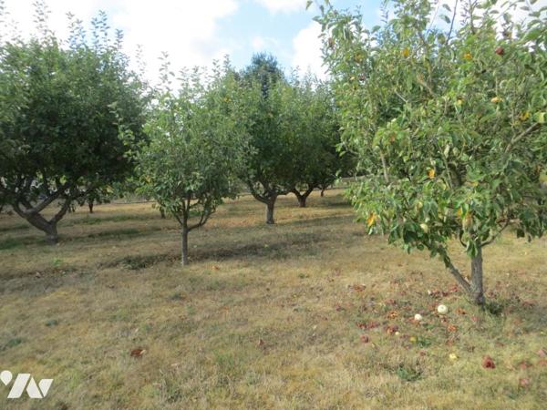 EN EXCLUSIVITE, entre VIRE NORMANDIE et SOULEUVRE EN BOCAGE 