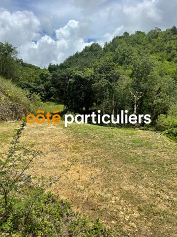 Vente Terrain1000 m² - LE GOSIER (97190)