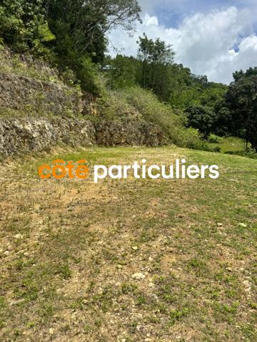 Vente Terrain1000 m² - LE GOSIER (97190)